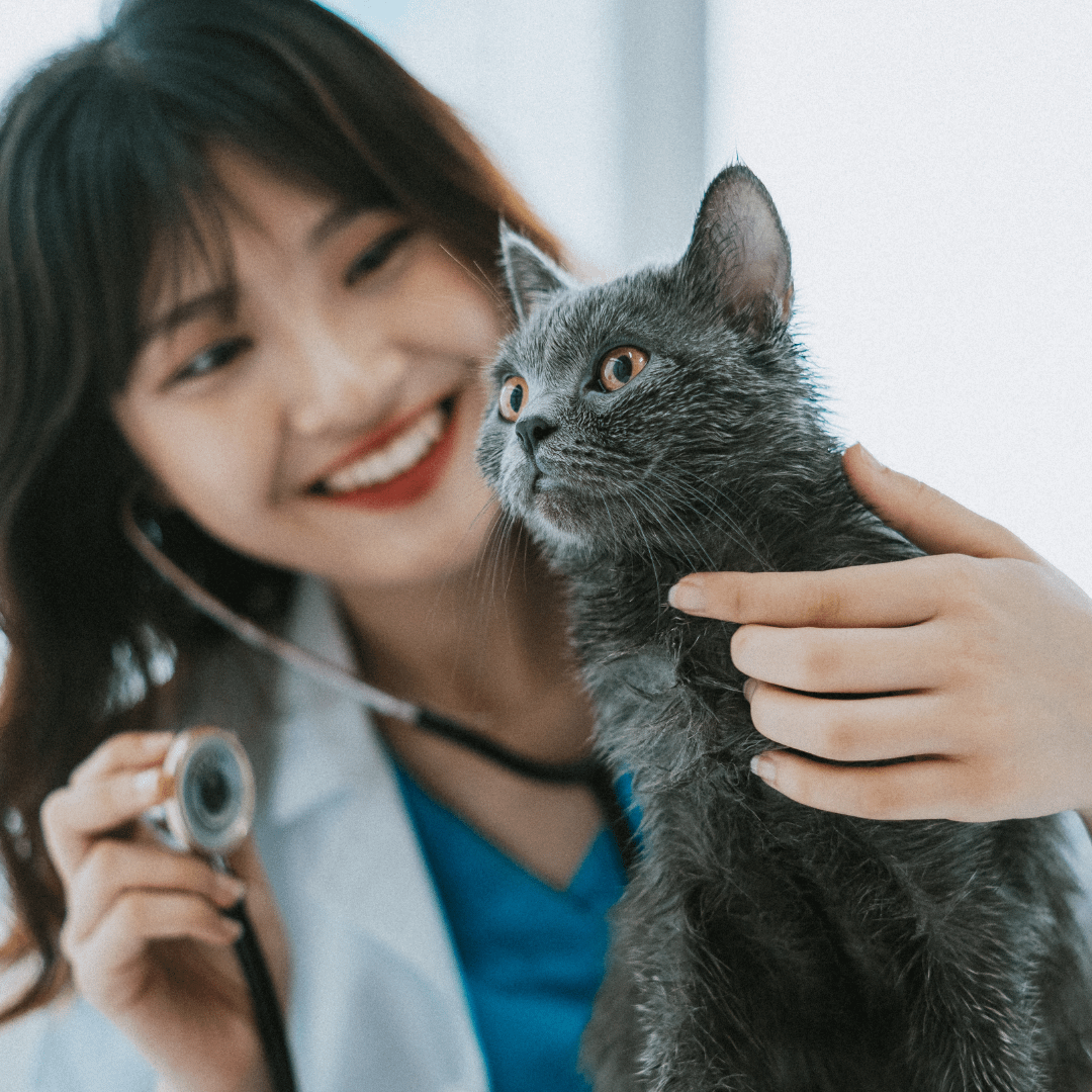 Marketing for Veterinary Practices